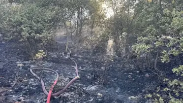Ilgın'da Orman Yangını Kısa Sürede Söndürüldü