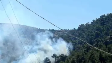 Mersin'de Orman Yangını Kontrol Altına Alındı