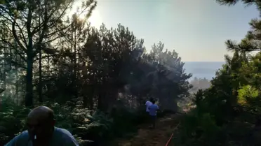Zonguldak'ta Orman Yangını Kontrol Altına Alındı