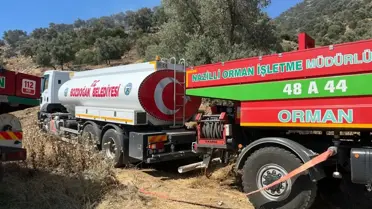 Bozdoğan'da Yangın Kontrol Altında