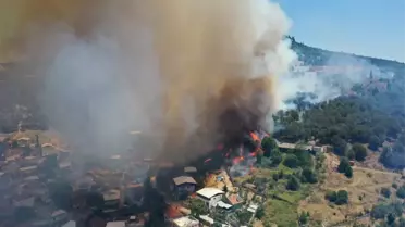 Bursa'da Ormana Girişler Yasaklandı