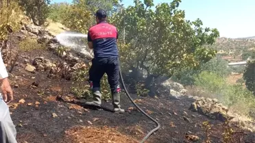 Gölbaşı'nda Orman Yangını Kontrol Altına Alındı