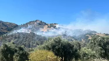 Aydın'da Zirai Alanda Yangın Kontrol Altına Alındı