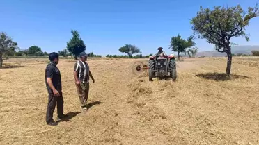 Beyşehir'de Yem Bitkisi Hasadı Devam Ediyor