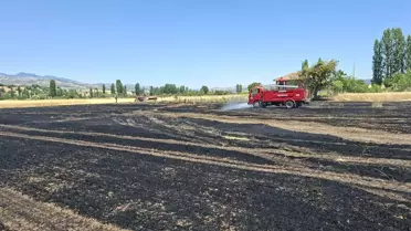 Kütahya'da Buğday Tarlasını Yangın Sardı