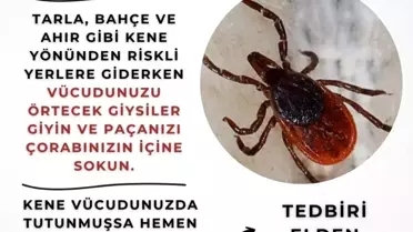 Eskişehir Valiliği'nden Kene Uyarısı