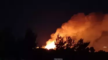 Samandağ'da Makilikte Yangın