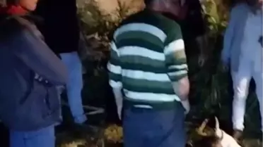 Kars'ta Foseptik Çukuruna Düşen Büyükbaş Hayvan Kurtarıldı