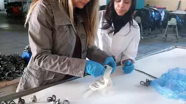 Deri Teknolojisinde İlk Kadın Profesör