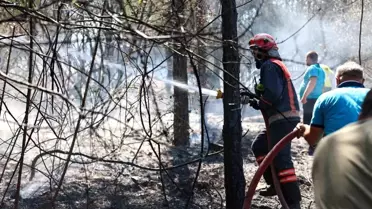Sakarya'da Orman Yangınlarına Karşı Kritik Uyarı