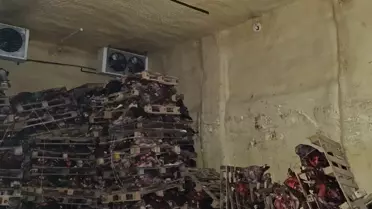 Gemlik'te Çürük Hayvan Kafası İhbarı