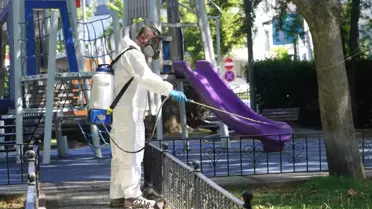 Şişli'de Kene ve Sinek Mücadelesi