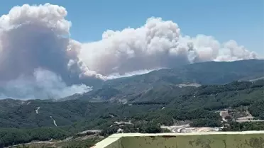 Suriye Sınırı Hattındaki Orman Yangını Hatay'ı Tehdit Ediyor