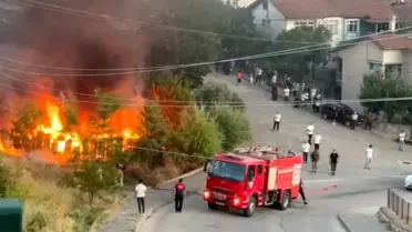 Tokat'ta Arı Kovanı Yakınında Yangın Kontrol Altına Alındı