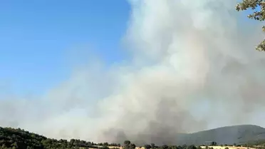Uşak'ta İki Noktada Yangın Çıktı