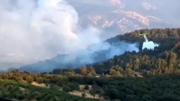 Çanakkale'de Orman Yangını