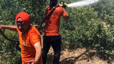 Bingöl'de Orman Yangını Kontrol Altına Alındı