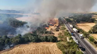 Edirne'de Orman Yangını Trafiği Kapattı