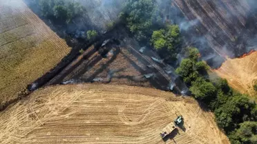Edirne'de Anız Yangını Kontrol Altında