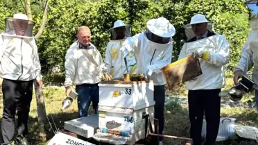 Çaycuma'da Kestane Balı Hasadı Yapıldı