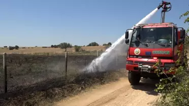 Kırklareli'nde Ceviz Bahçesi Yangını