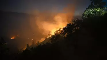 Uşak'ta Orman Yangını