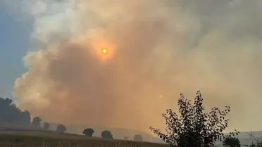 Uşak'ta Tarım Arazisinde Yangın
