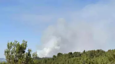 Uşak'ta Yangın Ormanı Tehdit Ediyor
