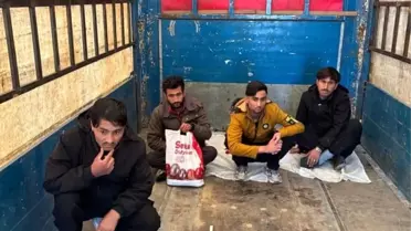 Amasya'da 4 Kaçak Göçmen Yakalandı