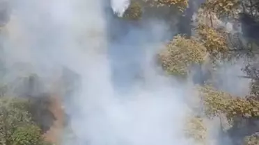 Çine'de Orman Yangını