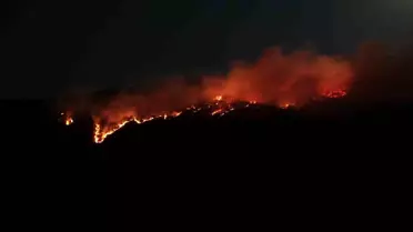 Ilgaz'da Orman Yangını