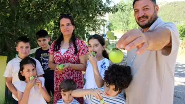 Amasya'da Ücretsiz Elma İkramı