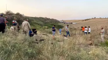 Hatay'da Fabrika Atıkları Hayvanları Zehirledi