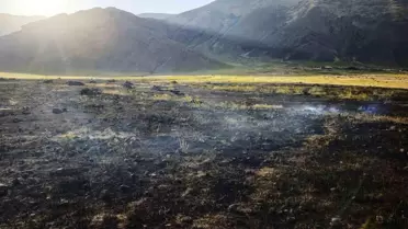 Iğdır'da Tarım Arazisinde Yangın Çıktı