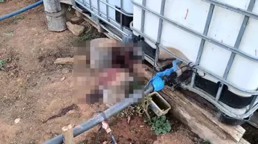 Kırşehir'de Bahçe Kavgası: 1 Ölü, 1 Yaralı