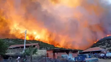 Salihli'de Orman Yangınlarına Karşı Seferberlik