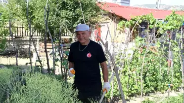 Çocukluk Hayali: Doğayla İç İçe Yeni Bir Hayat
