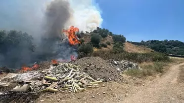 Turgutlu'da Yangın Kontrol Altında