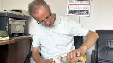 Tarsus'ta Çatalburun Köpeği 13 Yavru Doğurdu