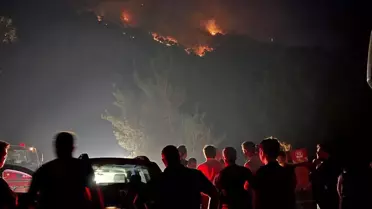 Bilecik'te Orman Yangını Kontrol Altına Alındı