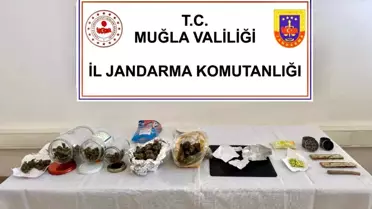Bodrum'da Uyuşturucu Operasyonu: 2 Tutuklama