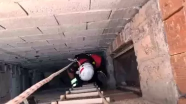 Yavru Kedi Havalandırma Boşluğundan Kurtarıldı