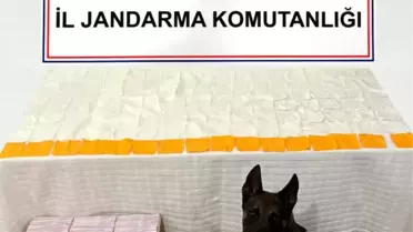 Denizli'de Uyuşturucu Operasyonu