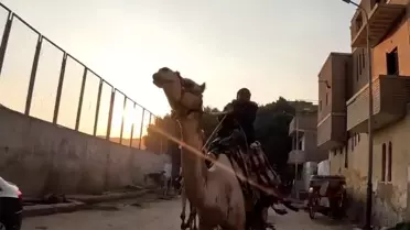 Kuralsız Sokaklar, İzleyicileri Büyülüyor