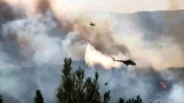 Şarköy'de Orman Yangınına Müdahale Başladı