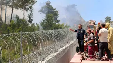 Hatay'daki Orman Yangınlarına AFAD Müdahale Ediyor