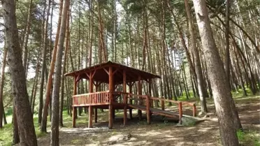 Ardahan'da Orman Girişlerine Yasak