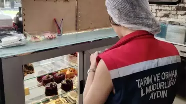 Aydın'da 152 Gıda İşletmesi Denetlendi