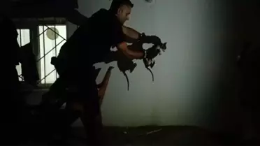 Kedi, İtfaiye Ekipleri Tarafından Kurtarıldı