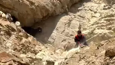 Yüksekova'da 7 Koyun 3 Gün Mahsur Kaldı